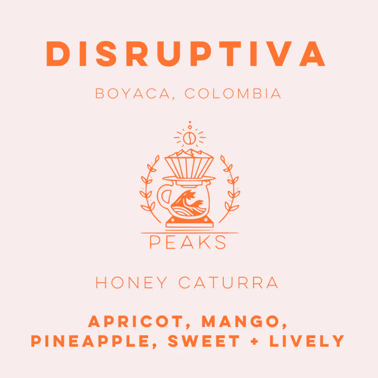 Disruptiva Honey Caturra - Peaks Series