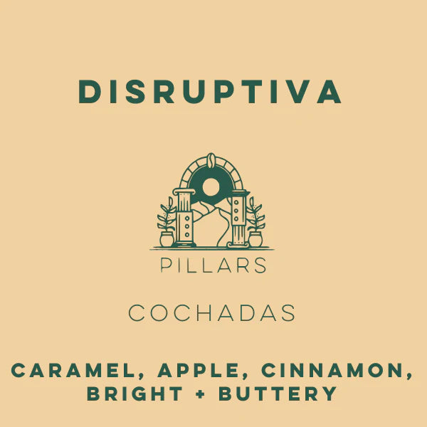 Cochadas Disruptiva