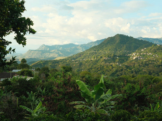 El Cortijo