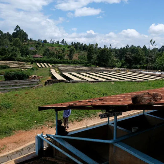 Rungeto Kirinyaga, Kenya