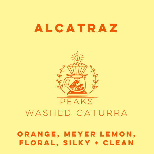 Finca Alcatraz Caturra Lavé