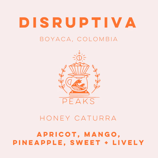 Disruptiva Honey Caturra - Peaks Series