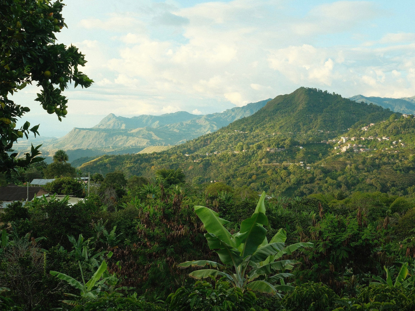 El Cortijo