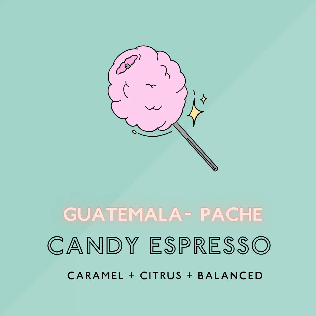Candy Espresso : Torréfaction Moyenne