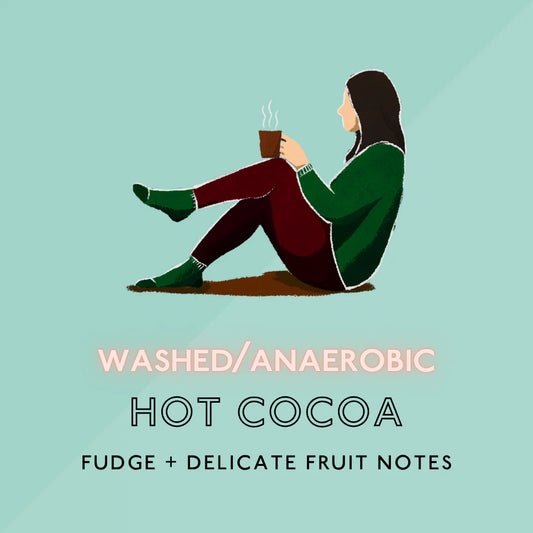 Hot Cocoa : Medium Roast