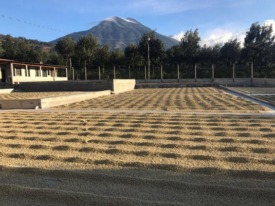 Finca La Hermosa