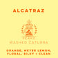 Finca Alcatraz Caturra Lavé