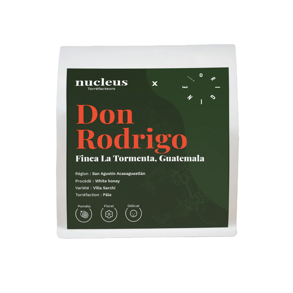 Don Rodrigo